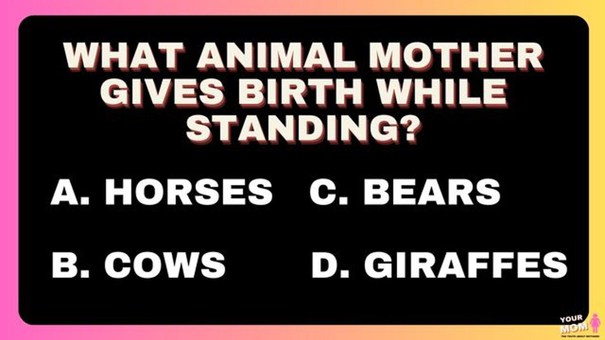 Your Mom - The Truth About Mothers! image number 2